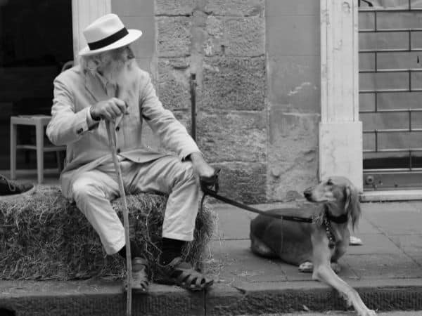Das Rentensystem von Großbritannien: Alter Mann mit Hunds sitzt an einer Straße in der Stadt.